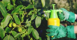 IHDUA_Organic_Pesticide_Feature_Image
